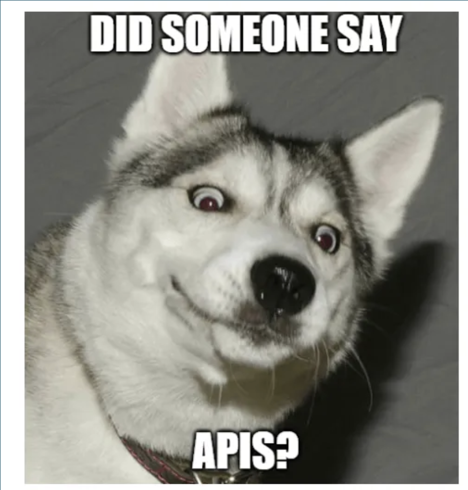 Excited dog, "Did someone say APIs?"