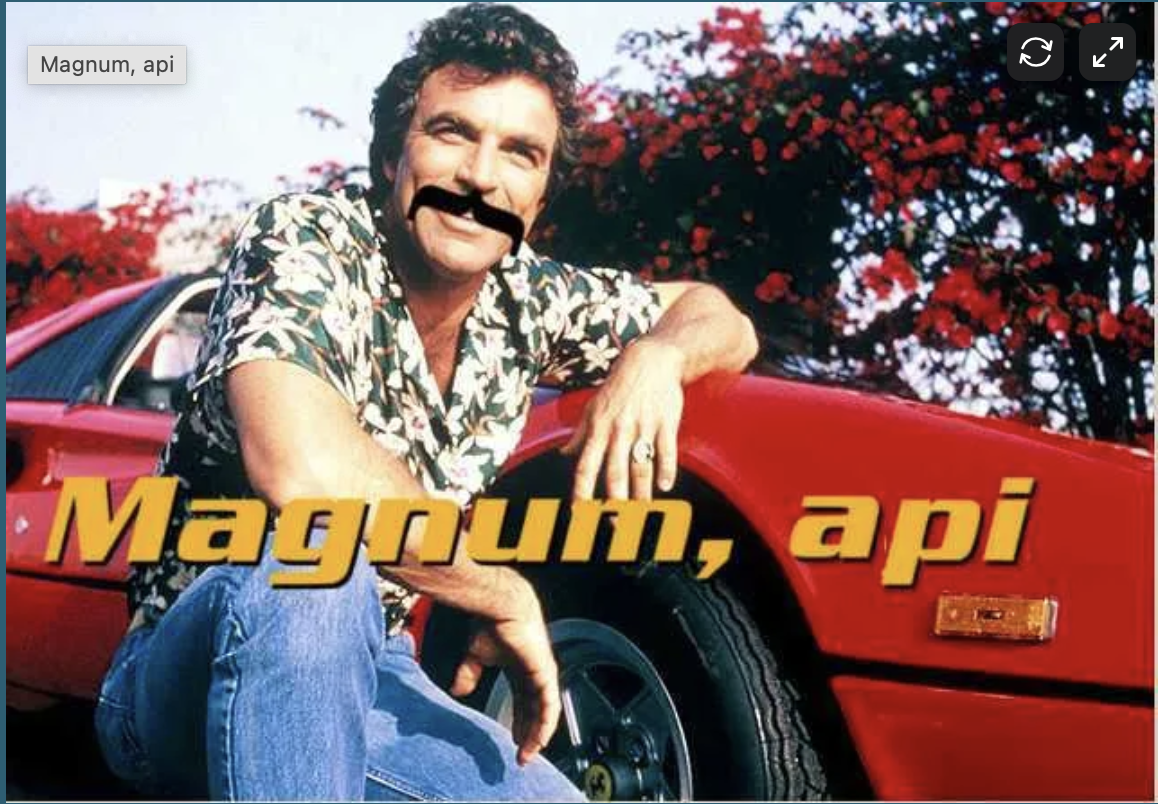 Magnum, api