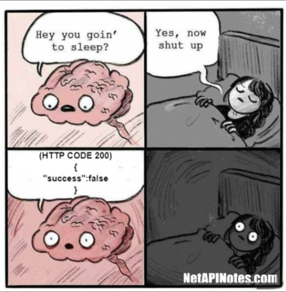 Woman's brain mention a 200 OK status and "success": false, woman can't sleep